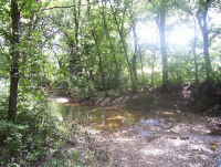 Creek bed