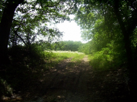 Road