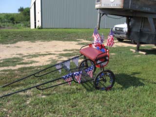 pony cart decorated for parade