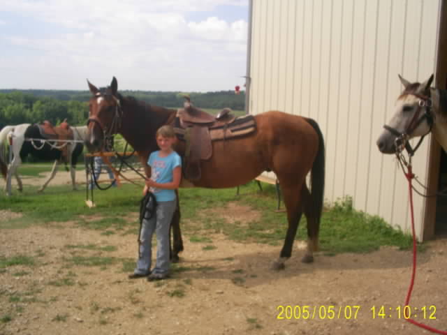 girl and horse