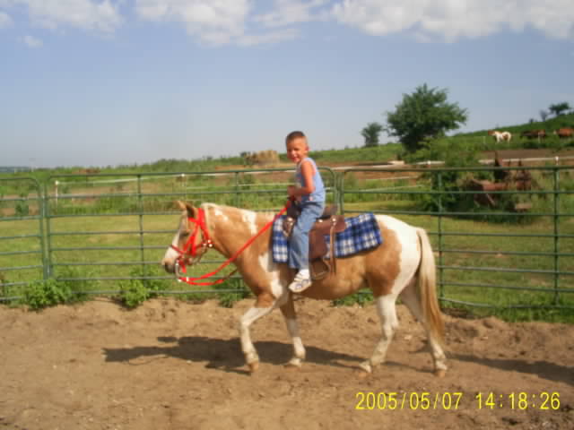 Boy and pony in the round ring